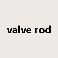 valve rod是什么意思