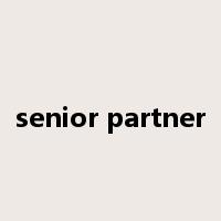 senior partner是什么意思