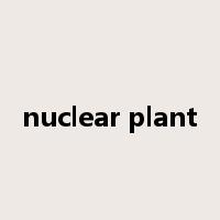 nuclear plant是什么意思