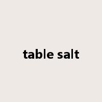 table salt是什么意思