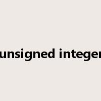 unsigned integer是什么意思