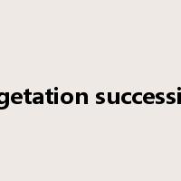 vegetation succession是什么意思