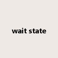 wait state是什么意思
