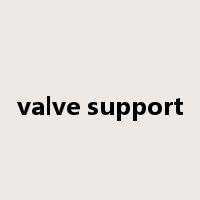 valve support是什么意思