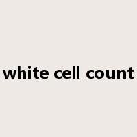 white cell count是什么意思