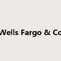 Wells Fargo & Co是什么意思