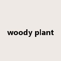 woody plant是什么意思
