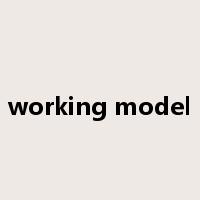 working model是什么意思