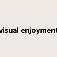 visual enjoyment是什么意思