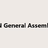 UN General Assembly是什么意思