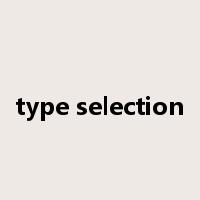 type selection是什么意思