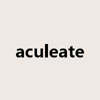 aculeate是什么意思