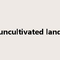 uncultivated land是什么意思