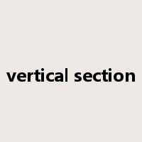 vertical section是什么意思