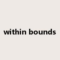 within bounds是什么意思