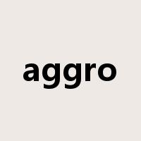 aggro是什么意思