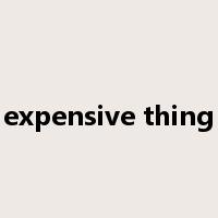 expensive thing是什么意思