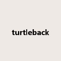 turtleback是什么意思