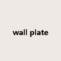 wall plate是什么意思