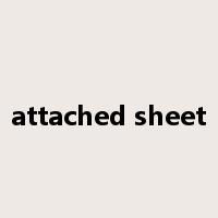 attached sheet是什么意思