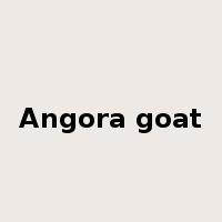 Angora goat是什么意思