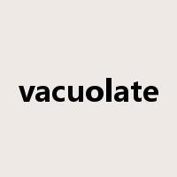 vacuolate是什么意思