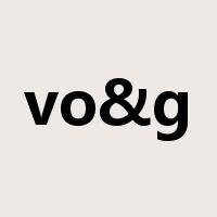 vo&g是什么意思