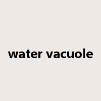 water vacuole是什么意思