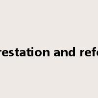 A&R afforestation and reforestation是什么意思