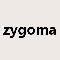 zygoma是什么意思