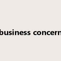 business concern是什么意思