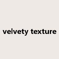 velvety texture是什么意思