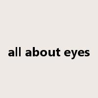 all about eyes是什么意思
