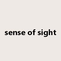 sense of sight是什么意思