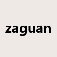zaguan是什么意思