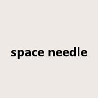 space needle是什么意思