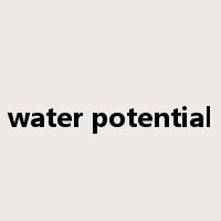 water potential是什么意思