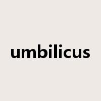 umbilicus是什么意思