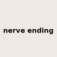nerve ending是什么意思