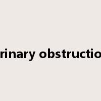 urinary obstruction是什么意思