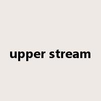 upper stream是什么意思