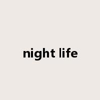 night life是什么意思