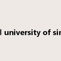 national university of singapore是什么意思