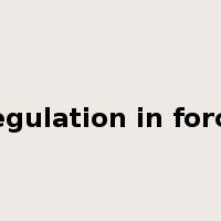 regulation in force是什么意思