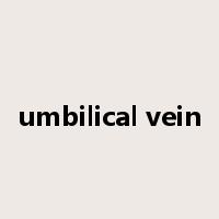 umbilical vein是什么意思
