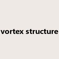 vortex structure是什么意思