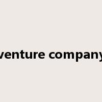 venture company是什么意思