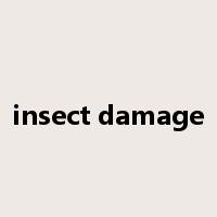 insect damage是什么意思
