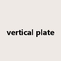 vertical plate是什么意思