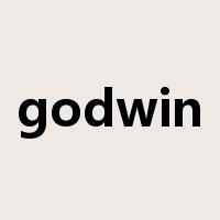 godwin是什么意思